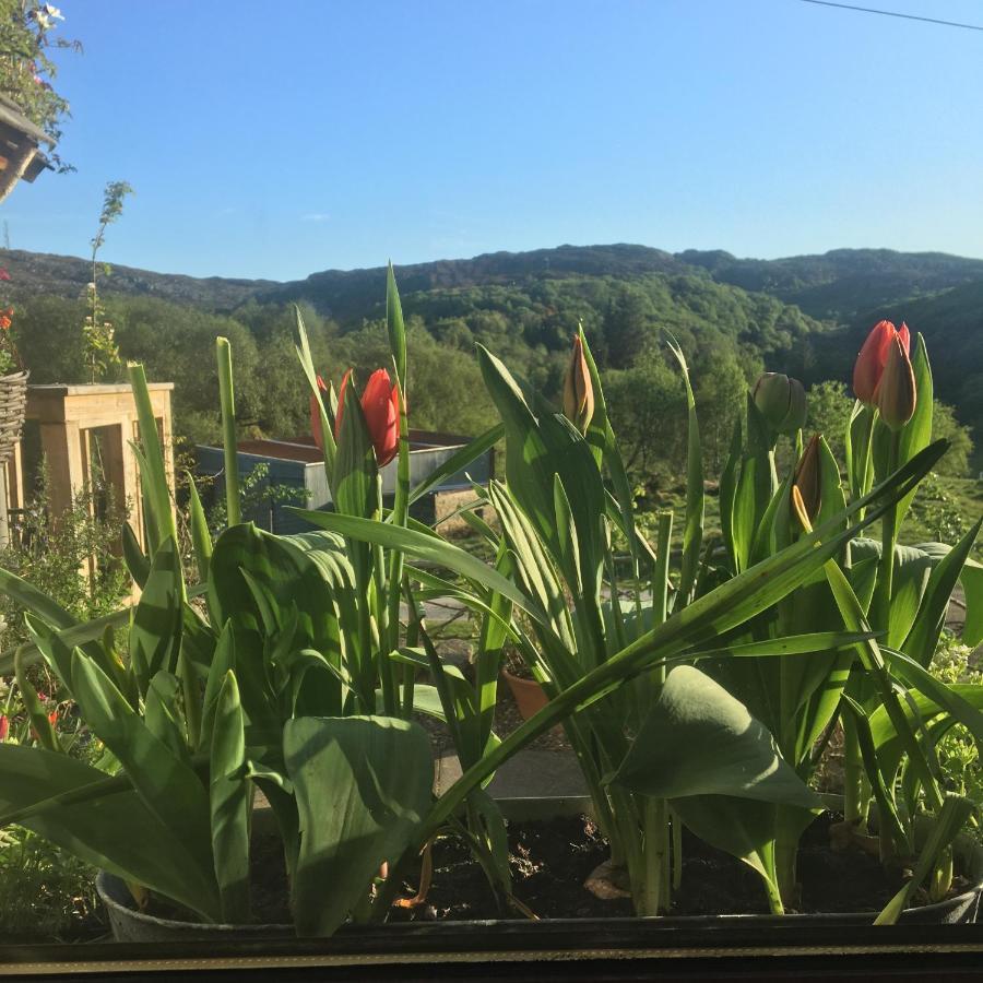 Ardmore House B&B Лохинвер Экстерьер фото